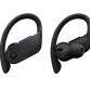 Беспроводные наушники-вкладыши Beats Powerbeats Pro