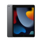 Планшет Apple iPad 10.2 (2021) Wi-Fi 256GB Space Gray (Серый космос) 