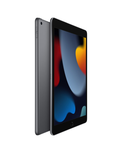 Планшет Apple iPad 10.2 (2021) Wi-Fi 256GB Space Gray (Серый космос) 