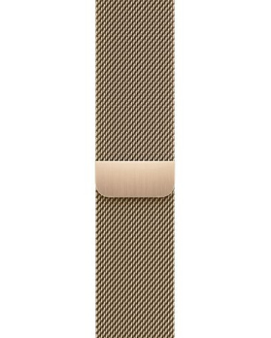 Умные часы Apple Watch Series 9 GPS + Cellular 41mm Gold Stainless Steel Case with Gold Milanese Loop (MRJ73)