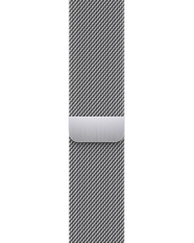 Умные часы Apple Watch Series 9 GPS + Cellular 45mm Silver Stainless Steel Case with Silver Milanese Loop (MRMQ3)