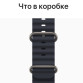 Умные часы Apple Watch Ultra GPS + Cellular 49мм Titanium Case with Midnight Ocean Band MQEE3