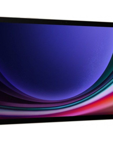 Планшет Samsung Galaxy Tab S9 5G SM-X716 12/256GB (2023) (Графит)