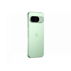 Смартфон Google Pixel 9 12/256GB Wintergreen (Зеленый)