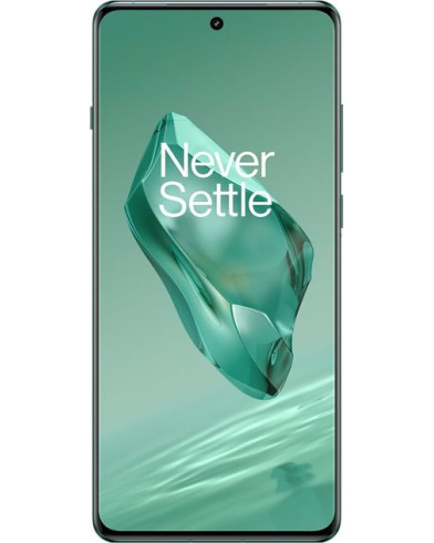 Смартфон OnePlus 12 16/1TB Flowy Emerald (Зелёный)