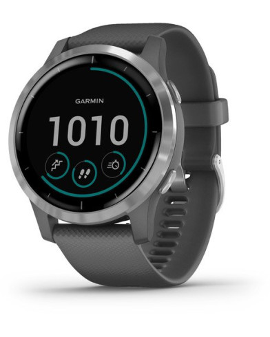 Умные часы Garmin Vivoactive 4 Gray with Silver Buckles