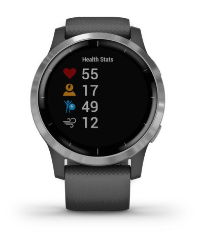 Умные часы Garmin Vivoactive 4 Gray with Silver Buckles