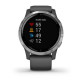 Умные часы Garmin Vivoactive 4 Gray with Silver Buckles