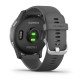 Умные часы Garmin Vivoactive 4 Gray with Silver Buckles