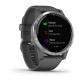 Умные часы Garmin Vivoactive 4 Gray with Silver Buckles